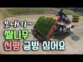 모내기~ 천평? 금방이지~