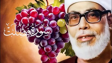 سورة فصلت كاملة  -  القارئ الشيخ محمود خليل الحصري ( عنقود العنب ) - كروما - شاشه سوداء