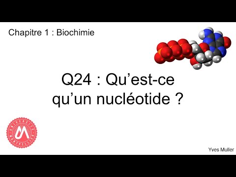 Vidéo: Pourquoi fabrique-t-on un nucléotide ?