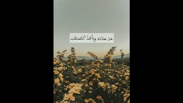 سورة التوبة اية 104
