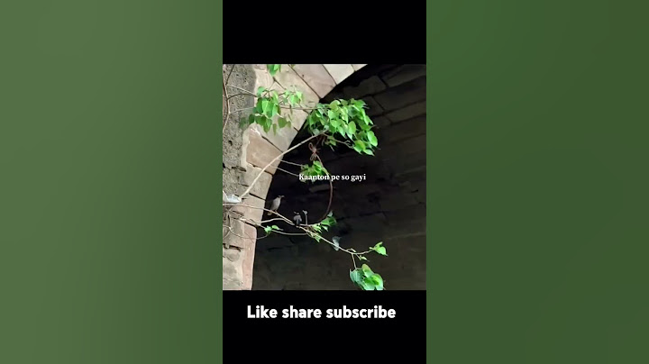 beautiful songs .feel the lyrics ❤️ #youtubeshorts #shorts #shortvideo