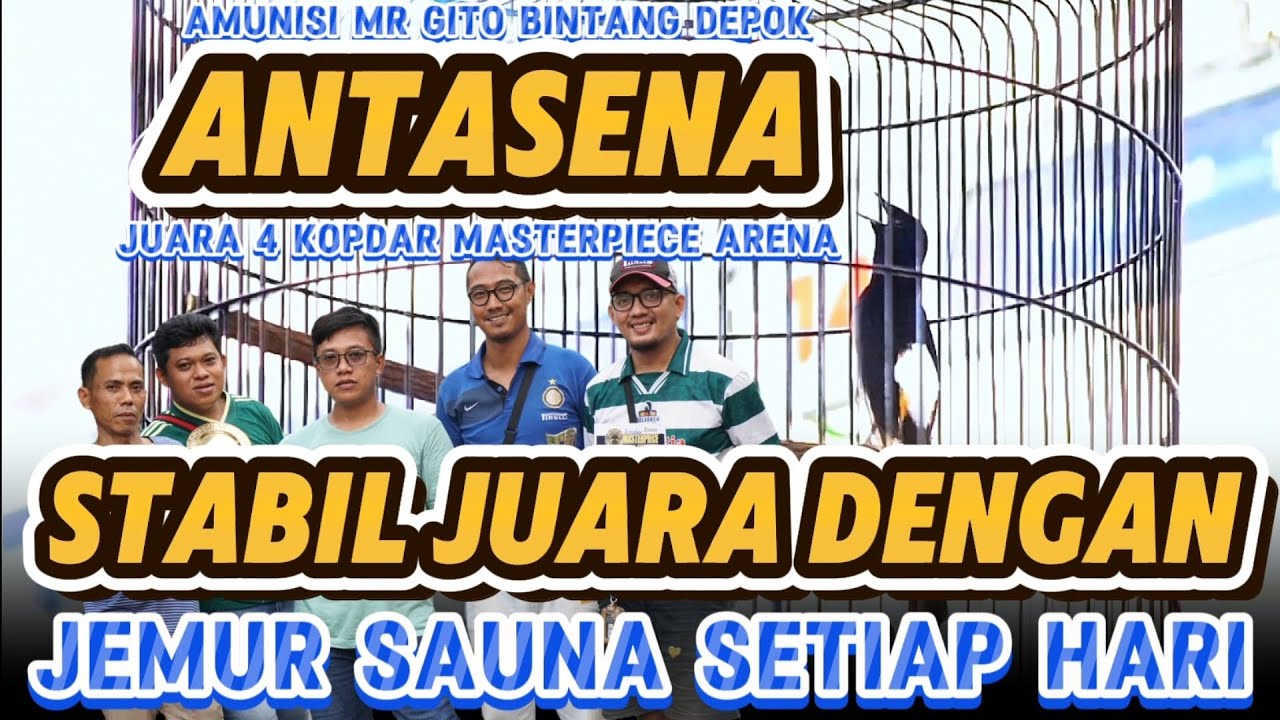 MURAI ANTASENA RAWATAN SAUNA SETIAP HARI | JUARA 4 KOPDAR MASTERPIECE