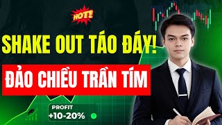 Thị Trường Bất Ngờ Đảo Chiều. Cơ Hội Vàng Hay Cái Bẫy Tử Thần?
