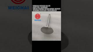 12159606 WEICHAI TD226B WP6G INTAKE VALVE 4110000909051 4110000054096  SP105388 SP105243 W010250690