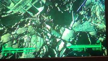 Fallout 3: Getting into the Citadel EARLY