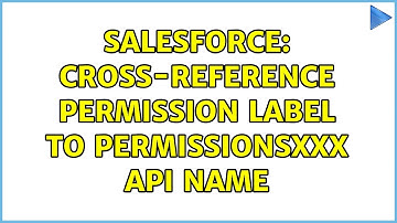 Salesforce: Cross-reference Permission label to permissionsXXX API Name (2 Solutions!!)