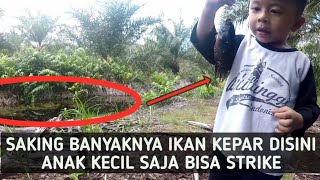 Strike Ikan Kepar Berkali-Kali | 1 RT  Kepar Semua # Eps 10