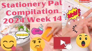 Stationery Pal Compilation Week 14 | Stationery Pal