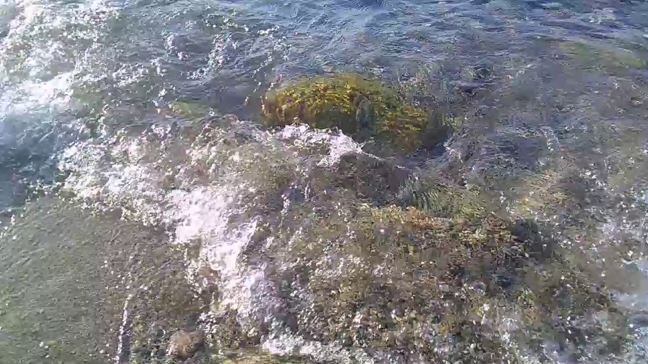 Pour 2 jours plus rien à craindre de la météo