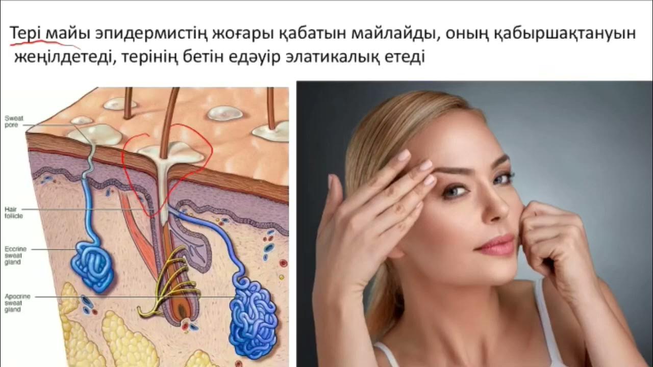 Бұлшық еттік порно