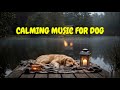 Separation Anxiety Therapy Music for Dogs Alone at Night 🐶💤 | 12 HOURS of Peaceful Sleep Support