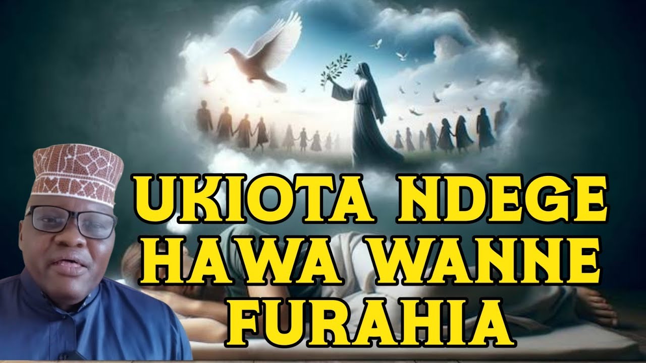 UKIOTA NDEGE WA AINA HIZI NNE (4) BASI UJUE  NI ISHARA NJEMA KATIKA MAMBO YAKO