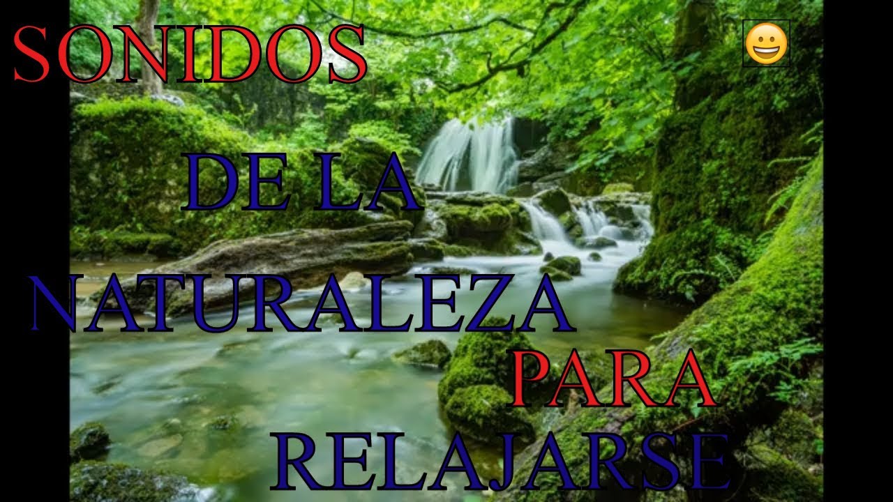 SONIDOS DE LA NATURALEZA PARA RELAJARSE - YouTube