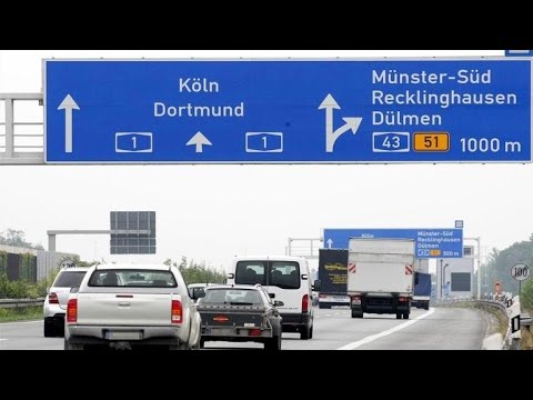 european driving licence