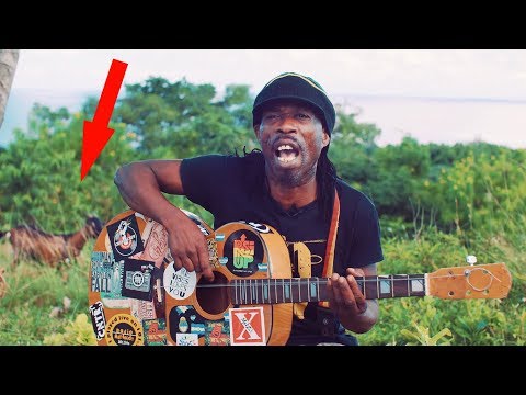 Brushy One String | Picture On The Wall (with the Goat 🐐)