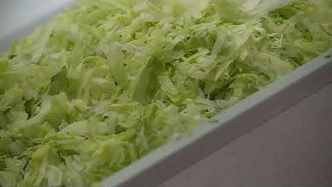 Southern Salads - New Lines Promtional Video