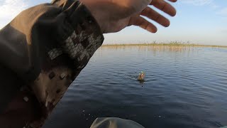 01.06.2022. Шапсугское водохранилище. Хороший клёв щуки в первый день лета. Трофей был, но не взят.. Видео: 01.06.2022. Шапсугское водохранилище. Хороший клёв щуки в первый день лета. Трофей был, но не взят..