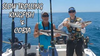 Slow Trolling Dead Bait for Cobia and Kingfish