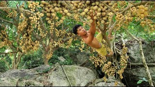 Fruit In The Jungle - Eating langsat