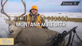 Public Land Montana Mule Deer (Hunting in a Blizzard!)