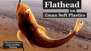 How to catch FLATHEAD land based with Soft Plastics