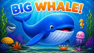🟢Big Blue Whale Meets Ocean Friends 🐳 | Jellyfish, Seahorse &amp; More | Ocean Animals For Toddlers