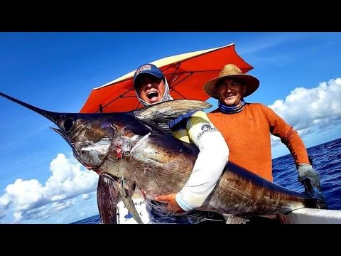 Pesca de Pez Espada a más de 1500 ft, Swordfish