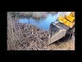 BEAVER DAM REMOVAL