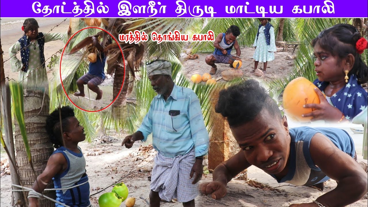 இளநீர் திருடிய கபாலியை மாட்டிவிட்ட குட்டி சொர்ணாக்கா