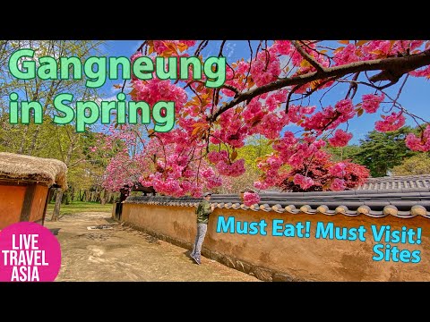 A MUST VISIT! Gangneung Gangwondo Province in South Korea