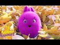 BIG BOO&#39;S BANANA POOL - SUNNY BUNNIES | SEASON 7 COMPILATION | Cartoons for Kids