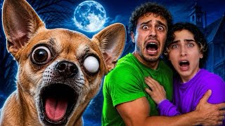 Famous SOMETHING IS WRONG WITH OUR DOG’S EYEBALL! 😱 Profile