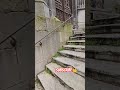 No bez klamki a drzwi solidne 🤣