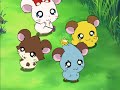 Hamtaro Japanese Episode 264: Let&#39;s Dance, Ham-Ham Ondo! English subbed ハム太郎 第264話「踊ろう、ハムハム音頭」