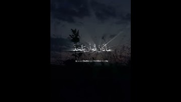 والسلـٰم عليَّ يوم وُلِدت ويوم أموت ويوم أبعث حياً | سورة مريم