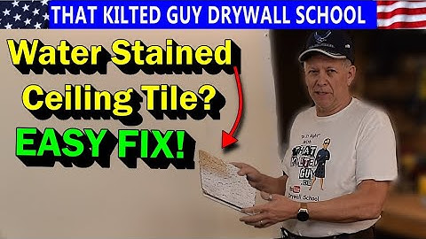 Ceiling Tile Stains DISAPPEAR with this trick