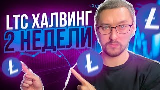 ЧТО ТАКОЕ ХАЛВИНГ ЛАЙТКОИНА (LTC) И ЗАЧЕМ ОН НУЖЕН❓ВСЁ ЧТО НУЖНО ЗНАТЬ НОВИЧКУ