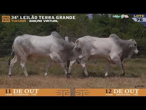 LOTE 076