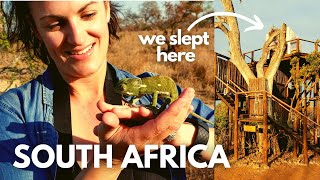 Sleeping ALONE in an Open Air Treehouse in South Africa