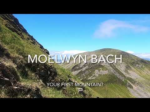 Moelwyn Bach - your first mountain?