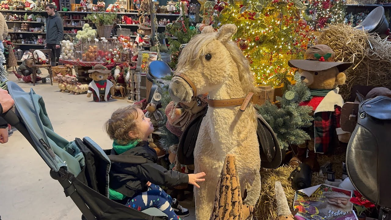 Рождественские покупки 🛒 в Нидерландах 🇳🇱