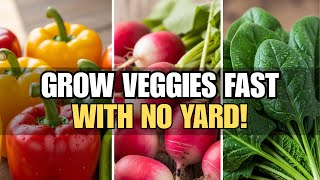 Top 9 Easy Veggies To Grow In Pots For Beginners 