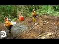 La construcción de una cabaña para esquiar en Alaska | Operación Alaska | Discovery Latinoamérica