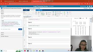 Image Processing Onramp-L4-3 Net Worth