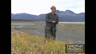 Timothy Treadwell Photography (Grizzly Man) - Kind Warrior