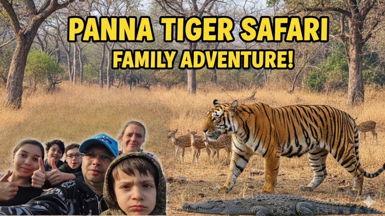Panna Tiger Reserve Safari Trip  with the Family!! Vlog #63