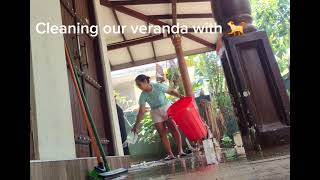 Cleaning for me but for Luna is a game 🐕#adopt #doglovers #animallovers #pets #petowner #cutedog  screenshot 2