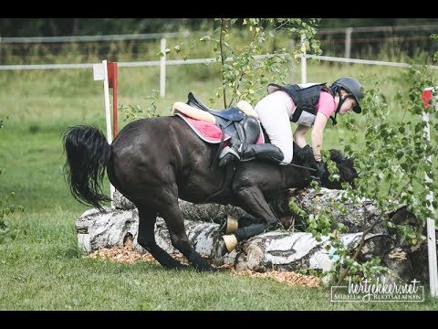 Video: Wallace-niminen Muuli Ottaa Kouluratsastuksen Ja Jättää Voittajan