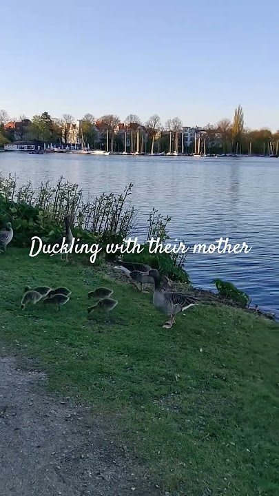 Just near the lake side.