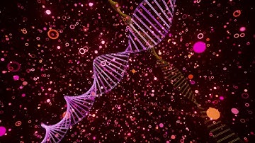 All of there are just Particles